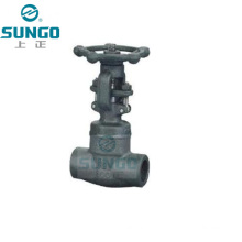 Forged Steel Gate Valve 1 Inch